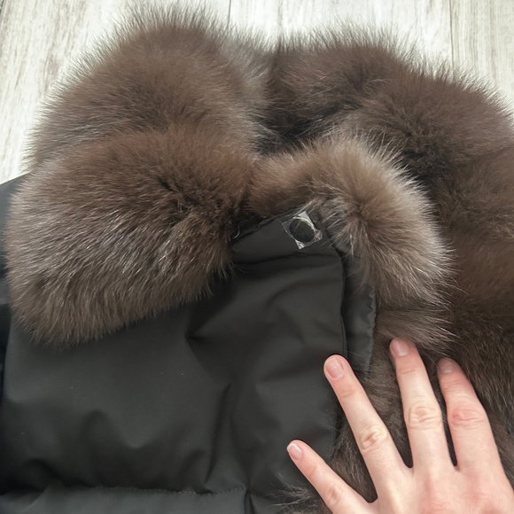 Puffer - Picture 3 of 8